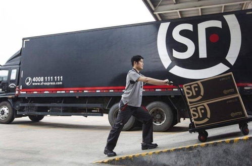 快递业持续内卷，顺丰的本地生活梦该醒了